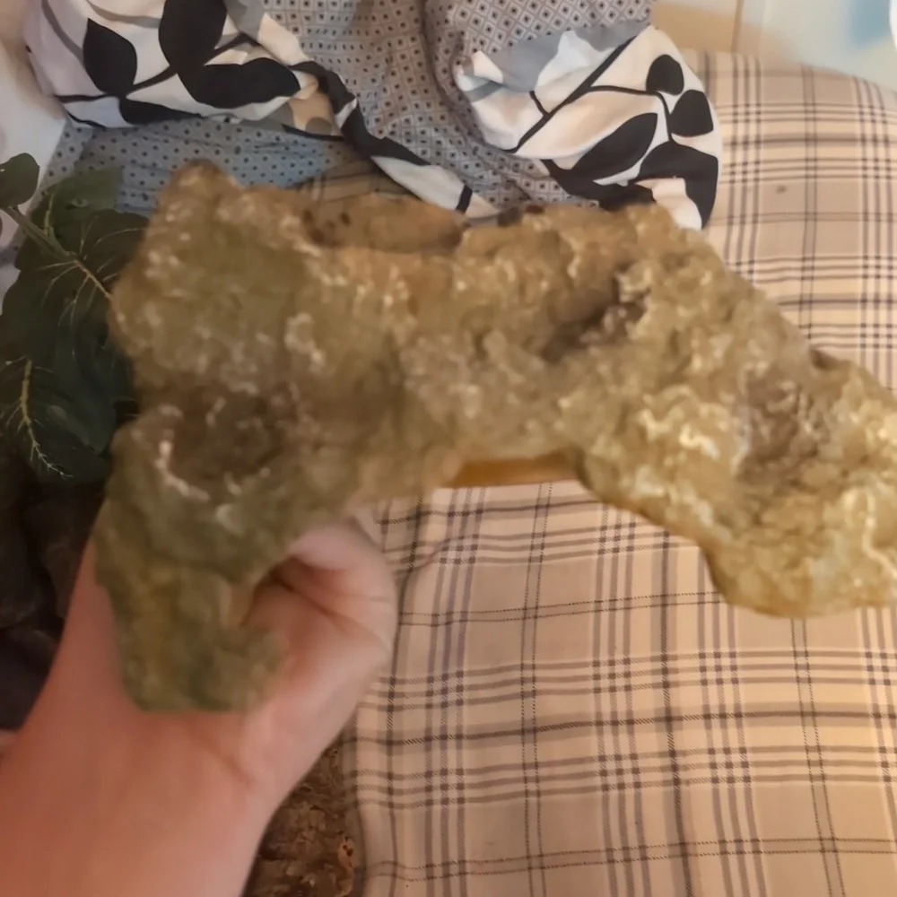 reptile supplies